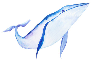 Watercolor blue whale
