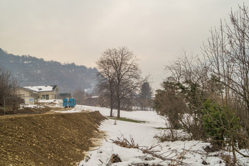 mountain landscapes with trees and snow