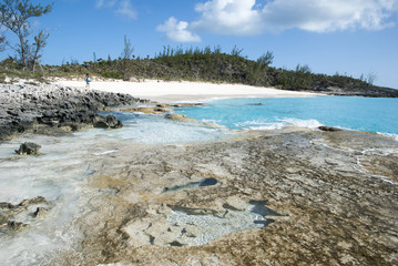 Caribbean Island Wilderness