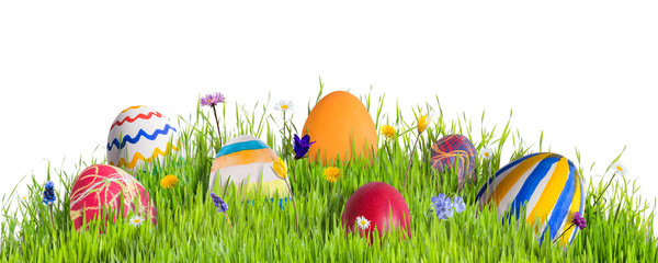 Eggs ang Grass Isolated