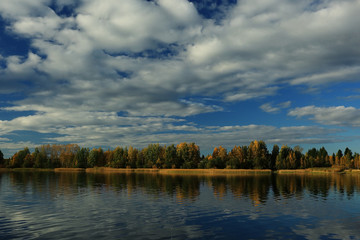 Obraz premium Fall forest landscape river amazing autumn background