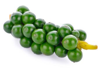 peper isolated on white background