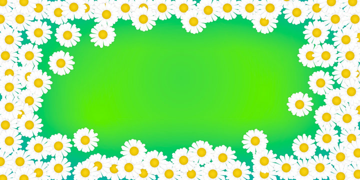 Fototapeta fresh background with blossoms