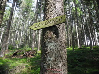 Wegweiser an Wanderweg nach Schonach, Schwarzwald, Baden-Wuerttemberg, Deutschland