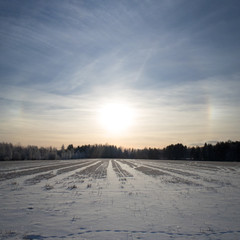 Circular halo around the sun on a cold winter day 