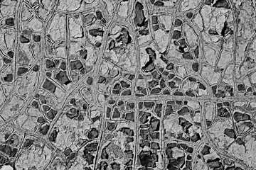 Obraz premium cracks old paint, black and white texture to overlay