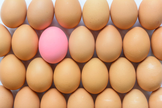 Abstract egg of chicken background