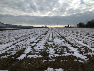 Feld in Winter