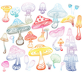 Set of Sketch of colored mushrooms