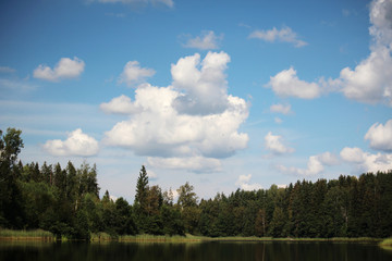 Fototapeta premium Lake shore in summer season, Russia 