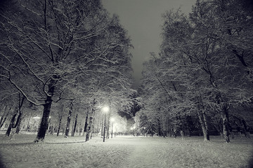 winter night in the park
