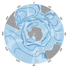 Vector map of the Antarctic Circumpolar Current