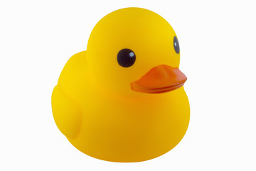 Duck yellow rubber  on white background