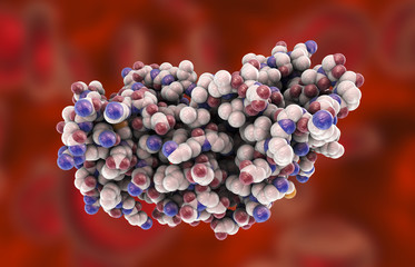 Molecular model of interferon-gamma 3D illustration. IFN-gammaa is a protein produced by leukocytes and involved in innate immune responce against viral infections