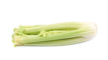 Celery vegetable isolated
