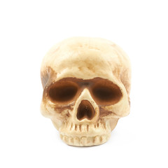 Obraz premium Human skull resin replica isolated