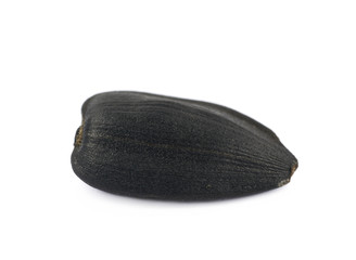 Single sunflower seed isolated