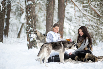 Two beautiful girls with huskies in winter forest. The girls are drinking tea and talking, laughing