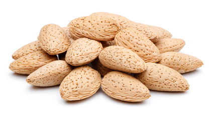 Almond nut group
