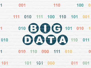 Data concept: Big Data on wall background