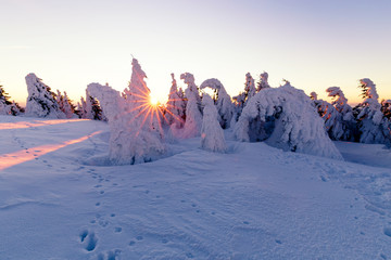 Sonnenaufgang im verschneiten Wald 
