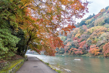 Walkway beside the river in autumn season at Arashiyama, Kyoto, Japan