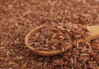Surface coated with the brown rice grains
