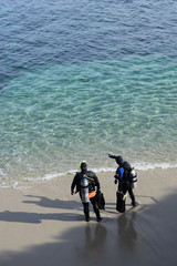 Divers at the Cove