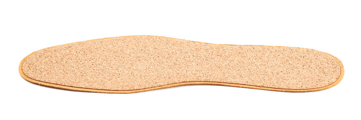 Single shoe insole isolated