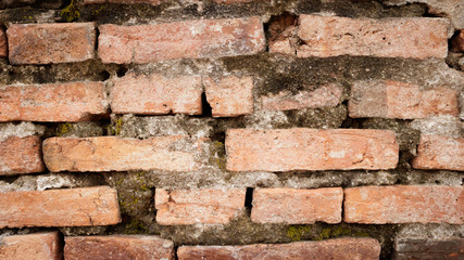 Brick wall texture for background