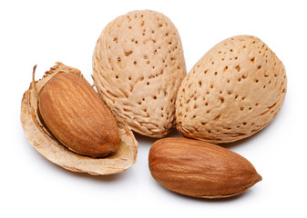 Almond nut isolated