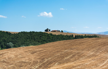 Fototapeta na wymiar Typical yellow hills of Tuscany, as seen from Montepulciano