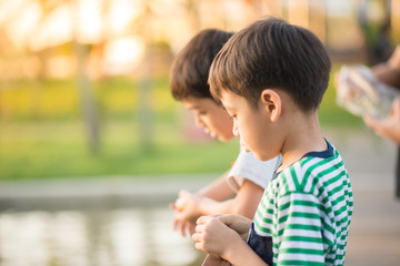Little boy feeding fish in the park