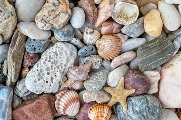 Shells, starfish and pebble stones