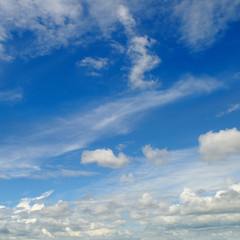blue sky and white cumulus clouds