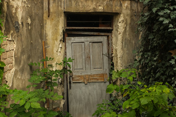 old abandoned door with destroyed walls and young trees around 