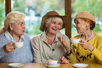 Elderly ladies in cafe smiling. Conversation of old women. Rumors and gossips.