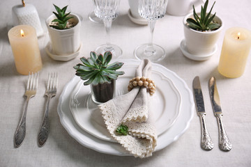 Table served with succulents for dinner