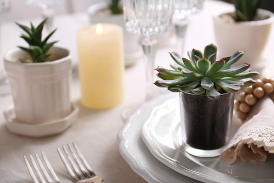 Table served with succulents for dinner