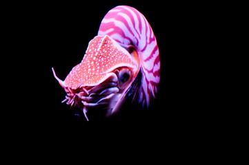 水族館