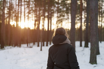 teen girl walk in winter pine forest in sunset from behind, with copy space