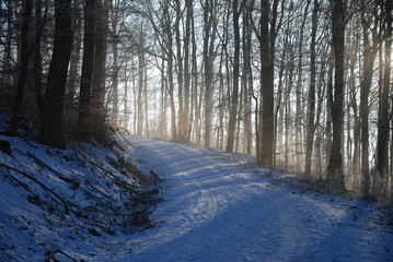 Bad Salzdetfurth