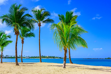 sun Caribbean beach