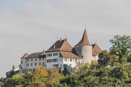 Erlach, Schloss, Weinberg, Altstadt, Bielersee, See, Seeland, Seeufer, St. Petersinsel, Sommer, Herbst, Schweiz