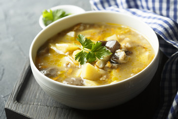 Mushroom soup