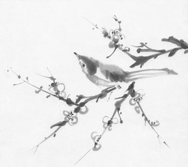 Bird on a cherry branch sumi-e ink painting
