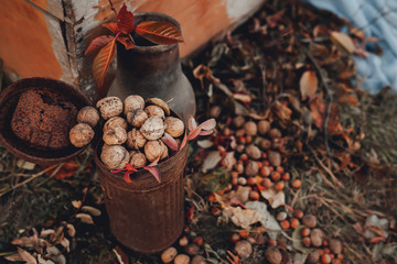 Walnuts in a rusty pot. Autumn decor