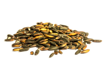 Black Glutinous Rice, White background