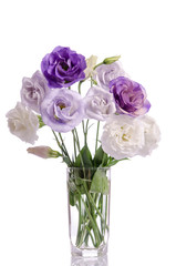 bunch of white and violet eustoma flowers in glass vase