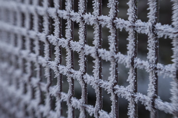 frozen metal fence